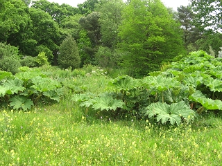 Great Dixter